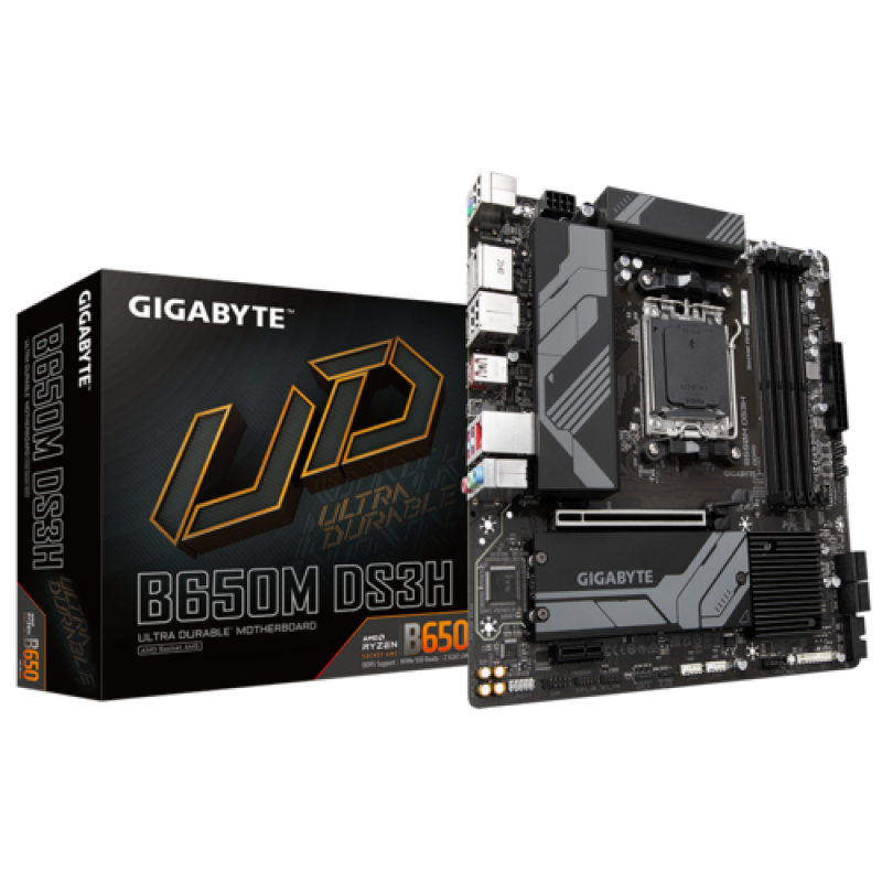 GIGABYTE B650M DS3H DDR5 (rev. 1.x) (ONLY BUILD)