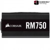 Corsair RM750 750 Watt 80 Plus Gold Fully Modular PSU