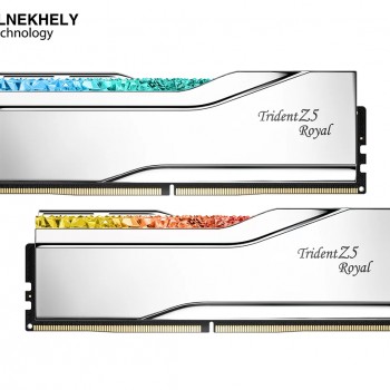 G.SKILL Trident Z5 Royal Series (Intel XMP 3.0) DDR5 RAM 96GB (2x48GB) 6400MT/s CL32-39-39-102 1.35V Desktop Computer Memory UDIMM - Silver (F5-6400J3239F48GX2-TR5S)