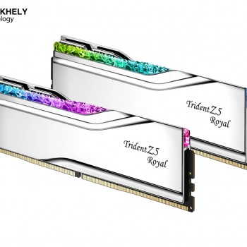 G.SKILL Trident Z5 Royal Series (Intel XMP 3.0) DDR5 RAM 96GB (2x48GB) 6400MT/s CL32-39-39-102 1.35V Desktop Computer Memory UDIMM - Silver (F5-6400J3239F48GX2-TR5S)