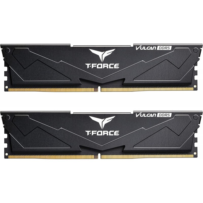 Team T-FORCE 32GB DDR5 (2X16G) 5200 CL40 Gaming Memory